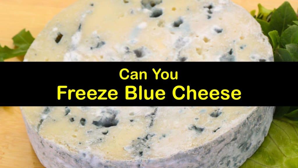 Can You Freeze Blue Cheese titleimg1