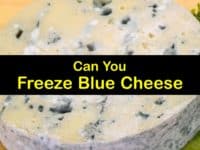 Can You Freeze Blue Cheese titleimg1