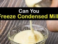 Can You Freeze Condensed Milk titleimg1