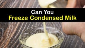 Can You Freeze Condensed Milk titleimg1
