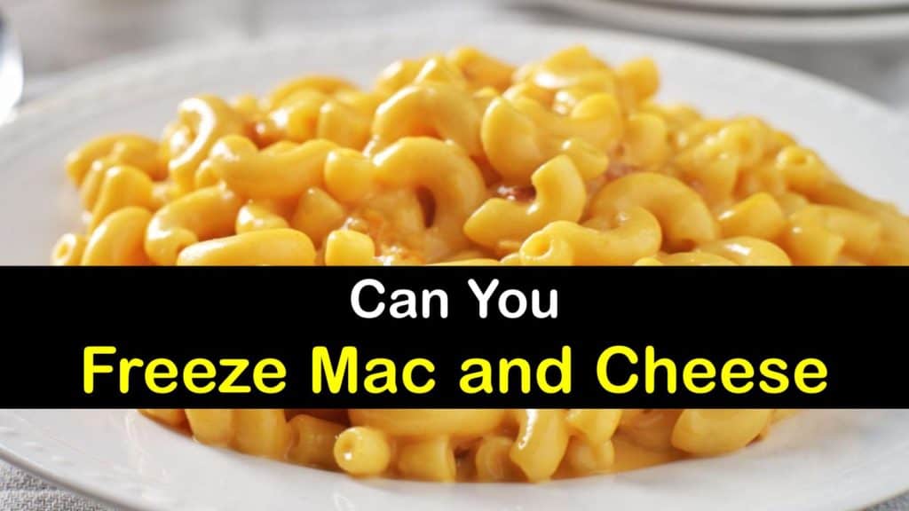 Can You Freeze Mac and Cheese titleimg1