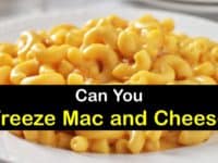 Can You Freeze Mac and Cheese titleimg1