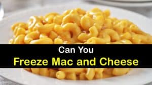 Can You Freeze Mac and Cheese titleimg1