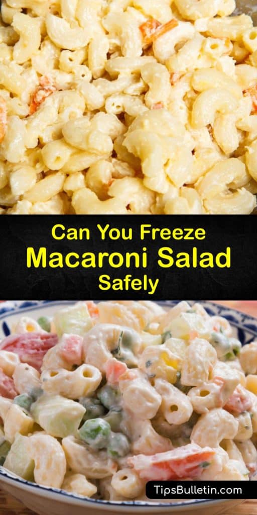 Save your macaroni salad recipe leftovers with these tips for storing foods in the freezer. Dicing your veggies, rinsing al dente pasta under cold water after you drain it, mixing in hard boiled eggs, and using an airtight container are the ideal steps to keep salad fresh. #freeze #macaroni #salad