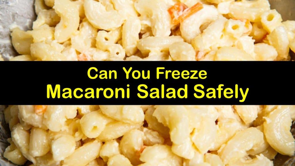 Can You Freeze Macaroni Salad titleimg1