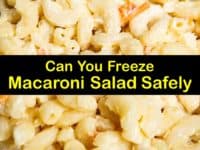 Can You Freeze Macaroni Salad titleimg1