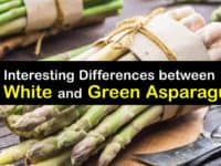 Difference between White and Green Asparagus titleimg1