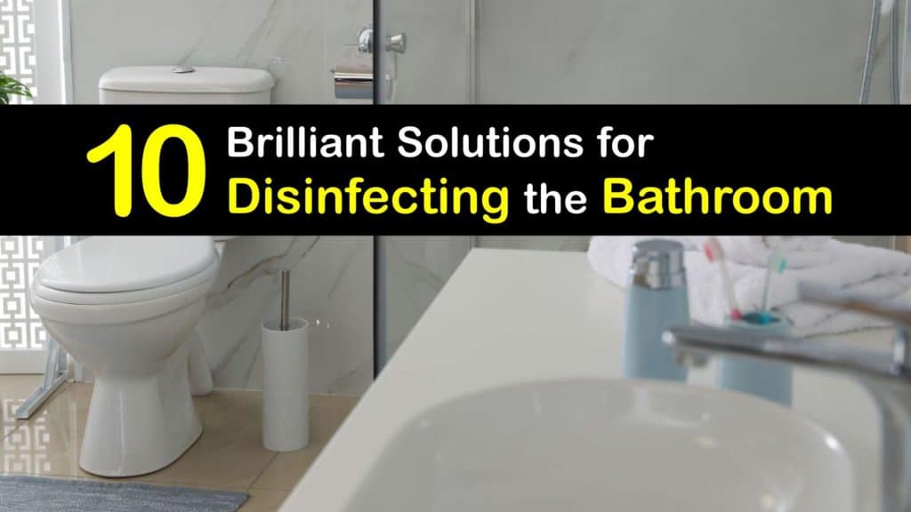 Disinfect the Bathroom titleimg1
