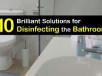 Disinfect the Bathroom titleimg1