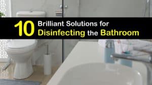 Disinfect the Bathroom titleimg1