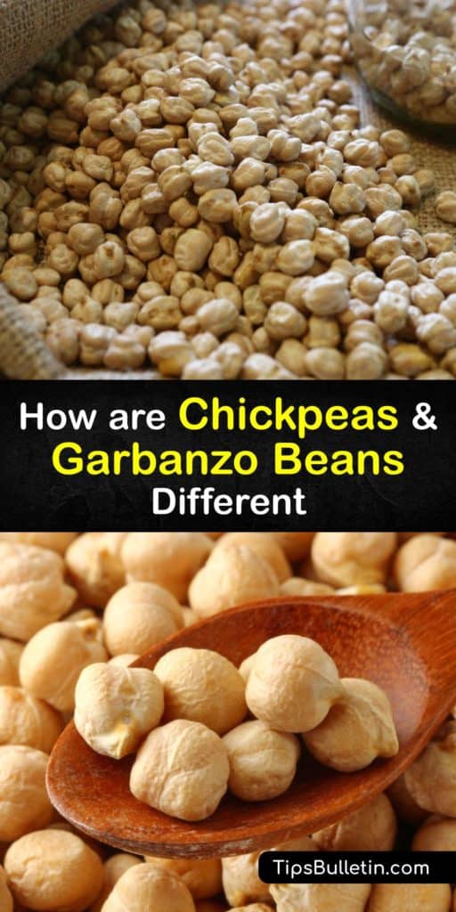 Find out why they’re called chickpeas in English and garbanzo beans in Spanish, the difference between desi and Kabuli chickpeas, and what makes them a superfood. They’re rich in dietary fiber, protein, folate, and many other vitamins and minerals. #chickpeas #garbanzo #beans