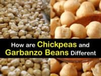 Garbanzo Beans vs Chickpeas titleimg1