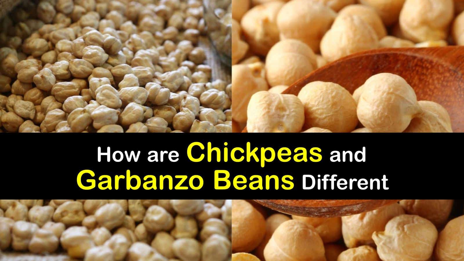 Differences Between Chickpeas and Garbanzo Beans