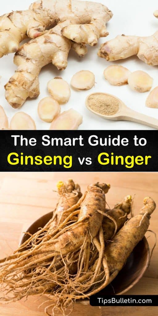 Learn the benefits of ginger and ginseng. Ginger has anti-inflammatory properties, American ginseng is good for headaches, Asian ginseng boosts the immune system, Korean ginseng has antioxidant properties, and Siberian ginseng promotes energy. #ginseng #ginger difference 