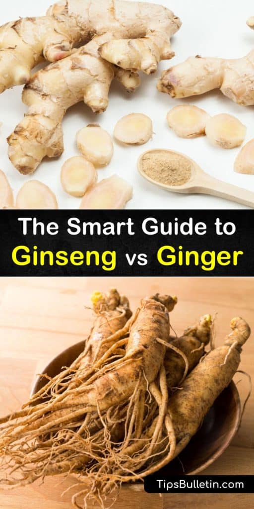 Learn the benefits of ginger and ginseng. Ginger has anti-inflammatory properties, American ginseng is good for headaches, Asian ginseng boosts the immune system, Korean ginseng has antioxidant properties, and Siberian ginseng promotes energy. #ginseng #ginger difference