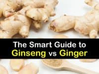 Ginseng vs Ginger titleimg1