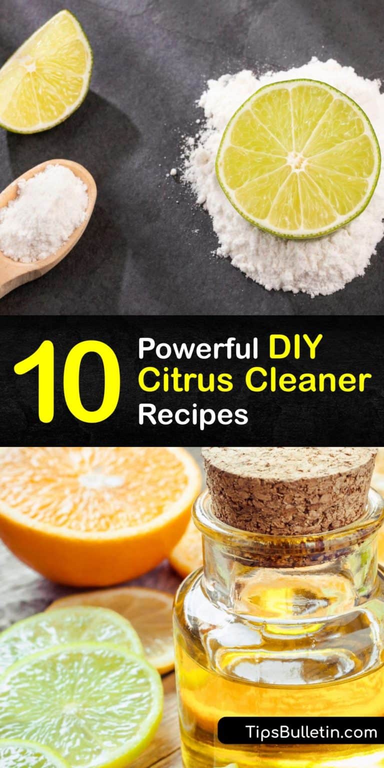 10 Powerful DIY Citrus Cleaner Recipes