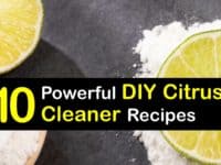 Homemade Citrus Cleaner titleimg1