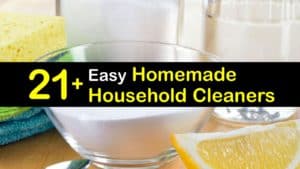 Homemade Household Cleaner titleimg1