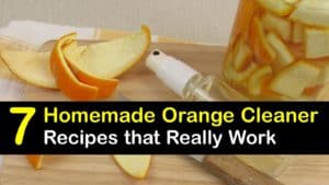 Homemade Orange Cleaner titleimg1
