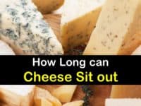 How Long can Cheese Sit out titleimg1
