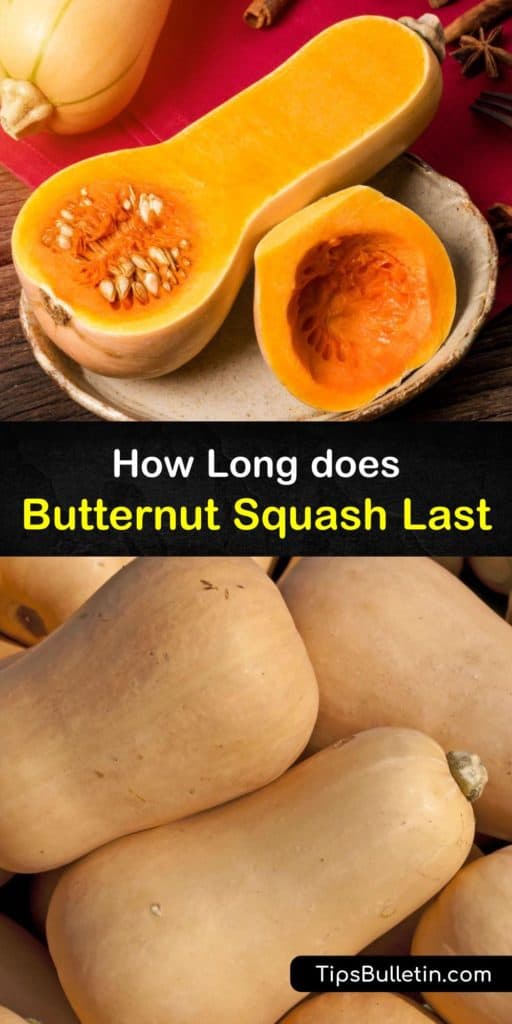 Discover how long butternut squash lasts and ways to store it. Keep butternut squash at room temperature in a cool, dark place, refrigerate cooked butternut squash in an airtight container, or freeze it to help butternut squash last longer. #shelf #life #butternut #squash #last