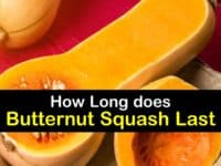 How Long does Butternut Squash Last titleimg1