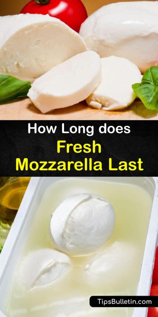 Mozzarella cheese varieties like bocconcini are made from buffalo milk instead of cow’s milk. Store curds of mozzarella in an airtight container with cold water to maintain the moisture. Never keep mozzarella at room temperature for long periods or covered in plastic wrap. #howto #mozzarella #fresh