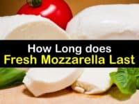 How Long does Fresh Mozzarella Last titleimg1