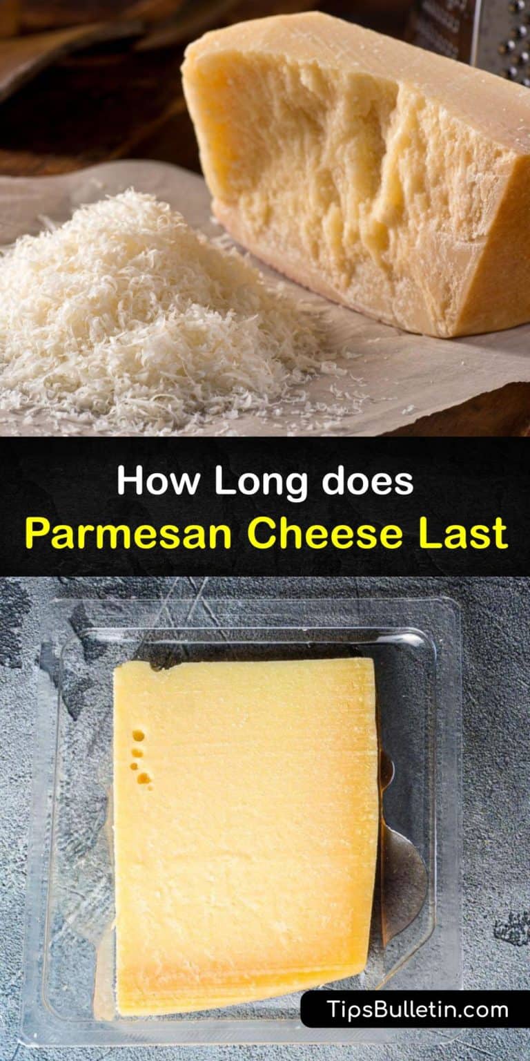Parmesan Cheese Shelf Life - When does Parmesan Cheese Go Bad