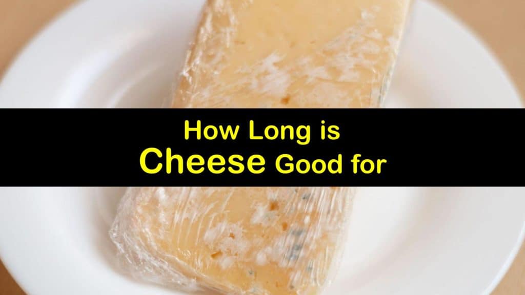 How Long is Cheese Good for titleimg1