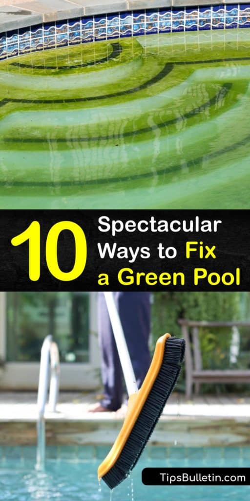 Dive into summer with this guide on cleaning algae from the bottom of the pool with liquid chlorine and algaecide. These steps teach you to backwash a sand filter, check cyanuric acid and chlorine levels, and use a skimmer to remove debris that turns the water green and murky. #clean #green #pool