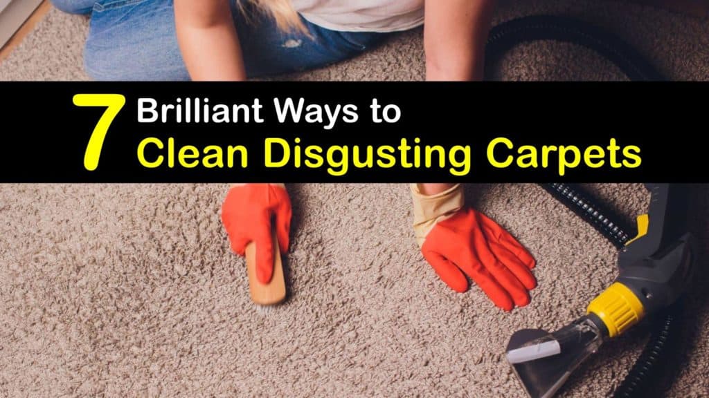 Cleaning Dirty Carpet Quick Guide For, How To Clean A Very Dirty Area Rug