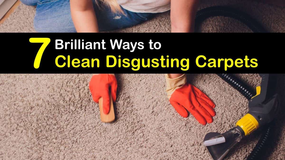 Cleaning Dirty Carpet Quick Guide For