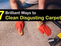 How to Clean Disgusting Carpet titleimg1