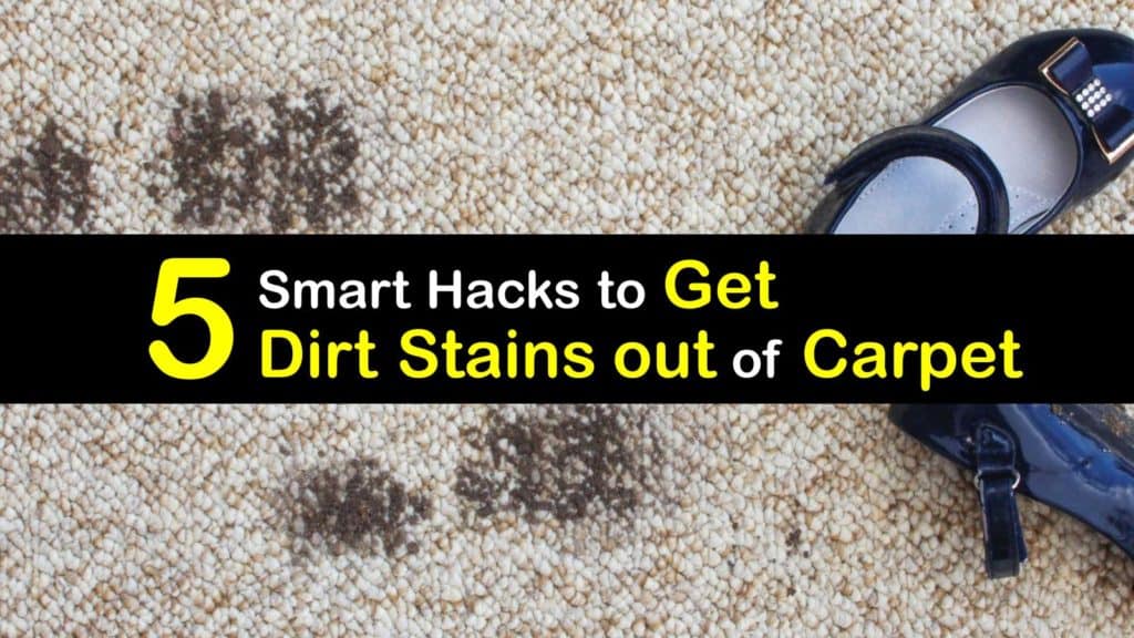 Blast Away Carpet Stains From Dirty Paws to Red Wine Better HouseKeeper