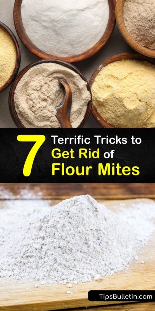 Find out how to eliminate flour mites throughout their life cycle, from eggs and larvae to adults. Store dry foods in airtight containers to prevent mites from reaching their food source. Plus, clean your pantry with bleach, spray a repellent, and vacuum in crevices. #flour #mites #getrid