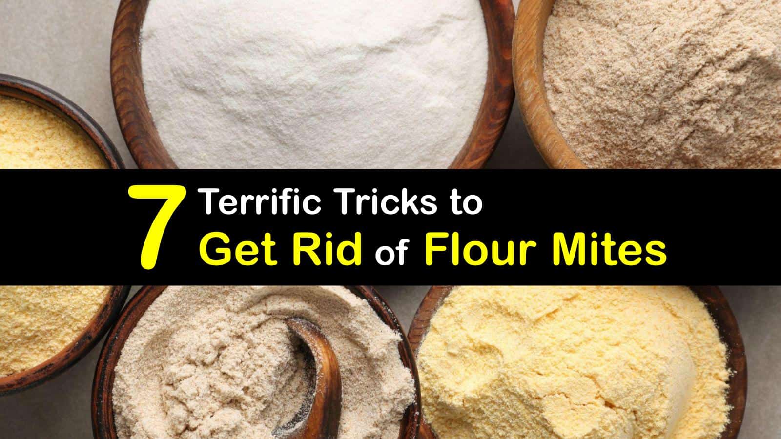 7 Terrific Tricks to Get Rid of Flour Mites