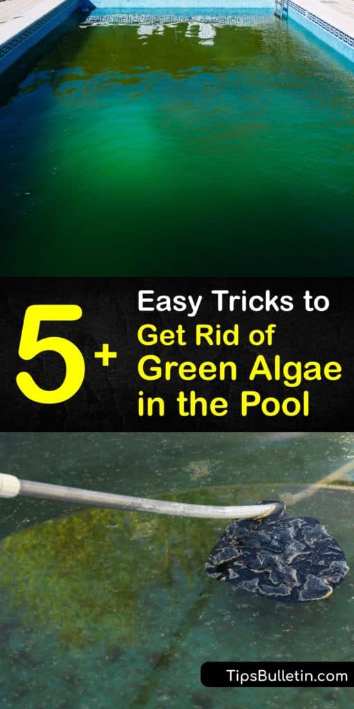 Understand how green algae, mustard algae, black algae, and other pool algae make their way into your water and affect the alkalinity and calcium levels. Use these easy pool maintenance tips to clean your pool water and pool filter and rid them from algae the entire summer. #green #algae #pool