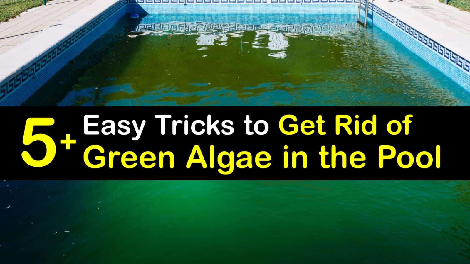 keep algae out of pool