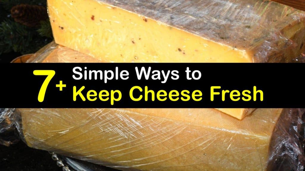How to Keep Cheese Fresh titleimg1