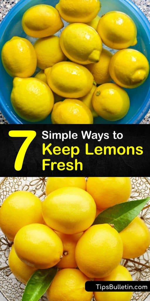 Discover how to store lemons and lemon juice for up to a whole month. When you refrigerate whole lemons instead of leaving them on the countertop, they stay fresh for three weeks. Zesting lemon rinds and lemon slices last longest in an airtight container. #howto #fresh #lemons #preserve