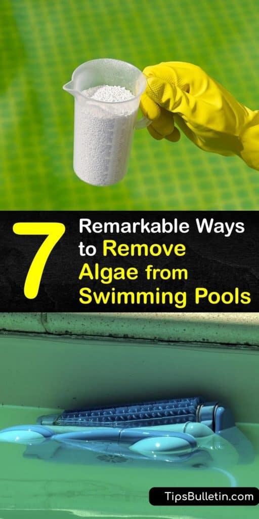 Pool owners must know how to remove green algae and mustard algae in the pool water. When you maintain proper calcium and chlorine levels, regularly backwash your water, and check your pool filter, you will have clean water. #howto #clean #algae #swimming #pool