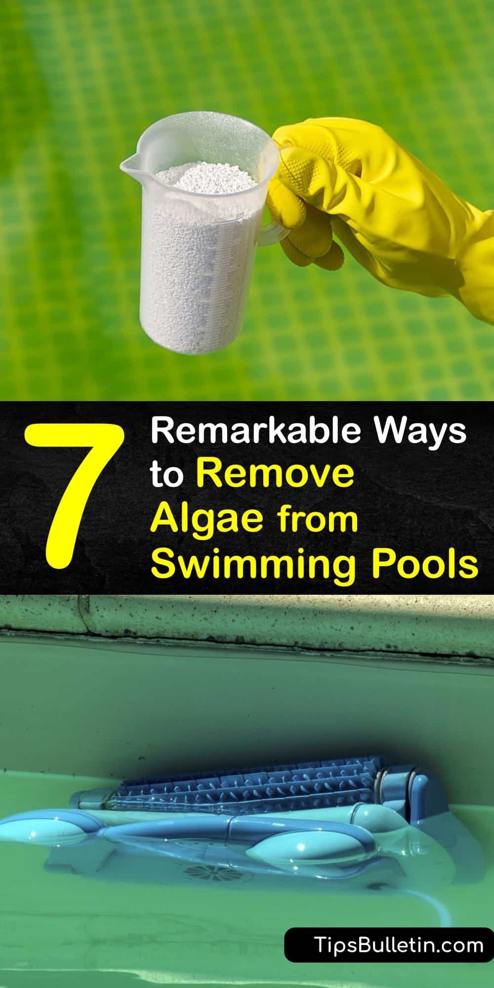 Removing Pool Algae Tricks for Cleaning Algae from Swimming Pools