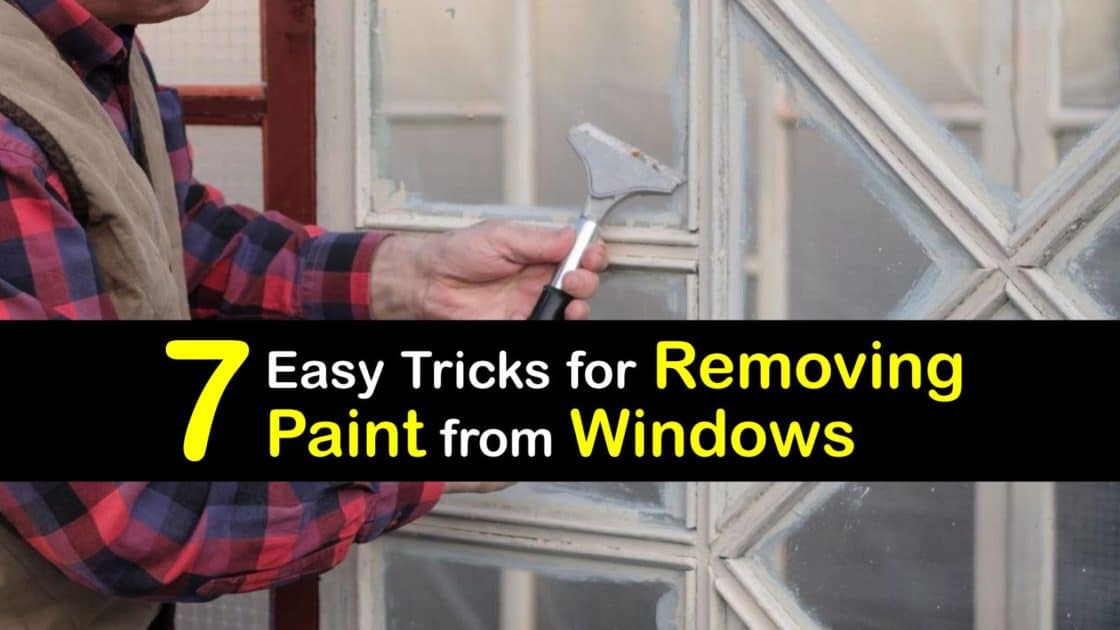 7 Easy Tricks for Removing Paint from Windows