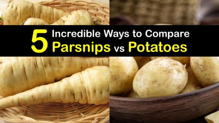 How are Potatoes and Parsnips Different