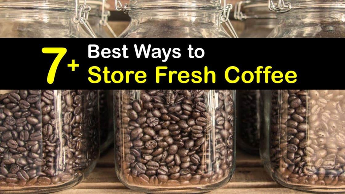 7+ Best Ways to Store Fresh Coffee
