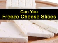 Can You Freeze Cheese Slices titleimg1