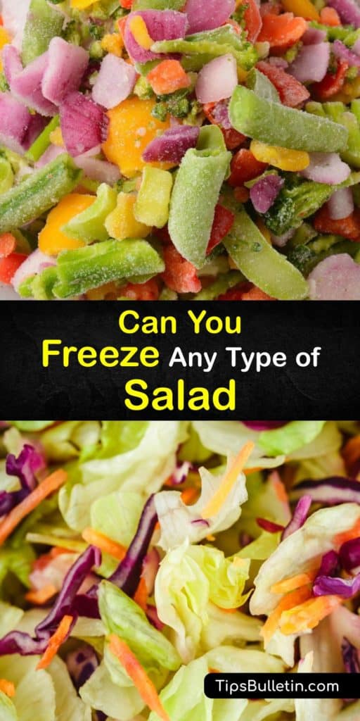 Learn which salads are suitable for freezing and the best ways to store them. Some foods have high water content and become mushy after you defrost them, while others handle the freezing process if you store them in an airtight container or freezer bag. #freeze #salad