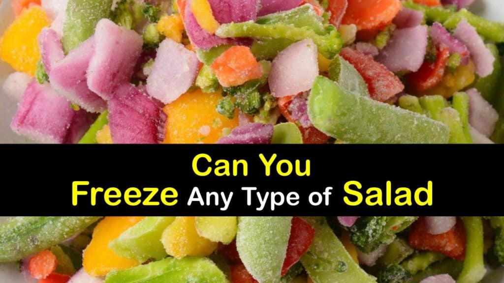 Can You Freeze Salad titleimg1